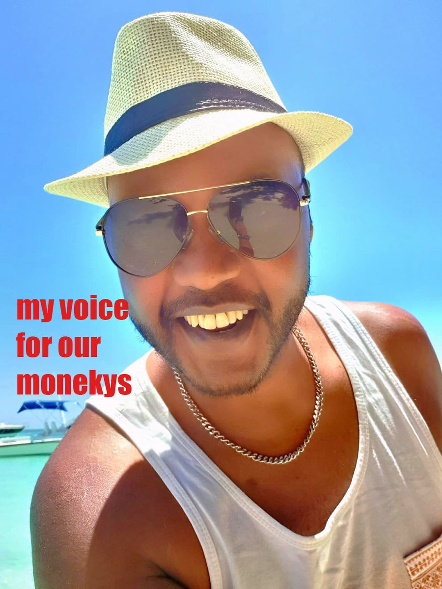 Photos: Florent Didier Marcel - radio NRJ morning show radio host and singer; JSummerSoul - last year's new rising female star/singer-songwriter; and Kan Chan Kin - world music creative artist/musician speak out for the monkeys of Mauritius.