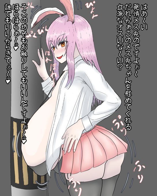 発情期に入ったメス兎 