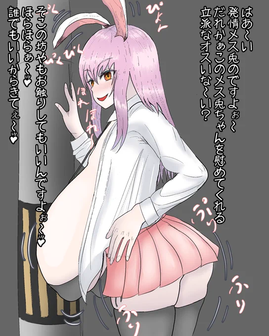 発情期に入ったメス兎 