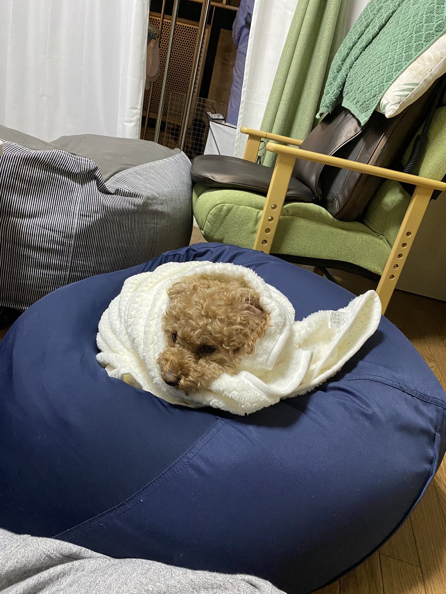 dtfmt's tweet photo. 寒くなってきたな https://t.co/HU66YLusz6