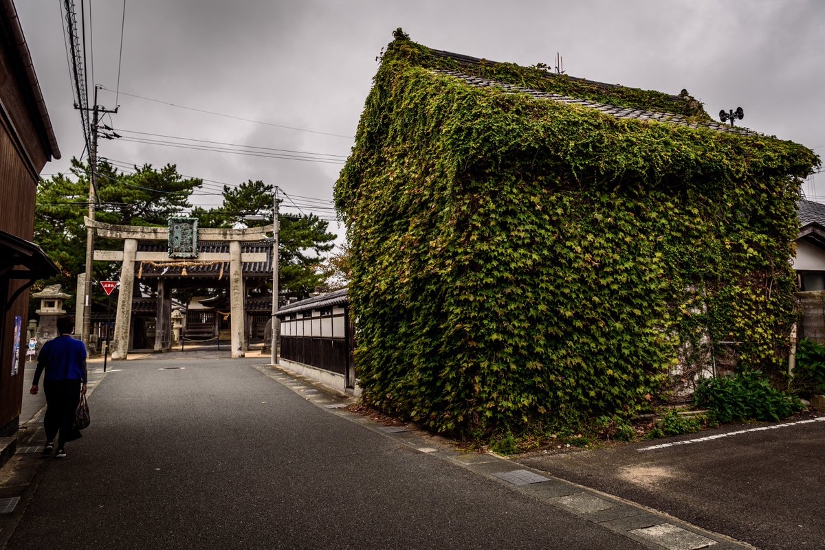 萩市浜崎地区伝統的建築物群保存地区。駐禁の赤いコーンはちょっと・・・
#山口県 #萩市 #hagi #nikon #D750 #photography #street #街並み #伝統 #traditional #浜崎地区 #伝統的建築物群保存地区 https://t.co/JkaBjNrDkD
