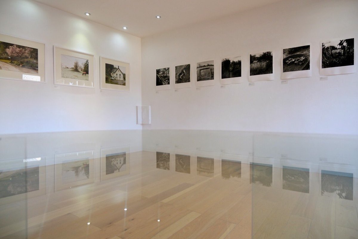 Tarpey Gallery tweet media