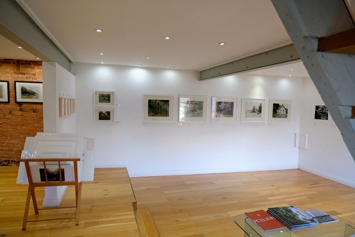 Tarpey Gallery tweet media