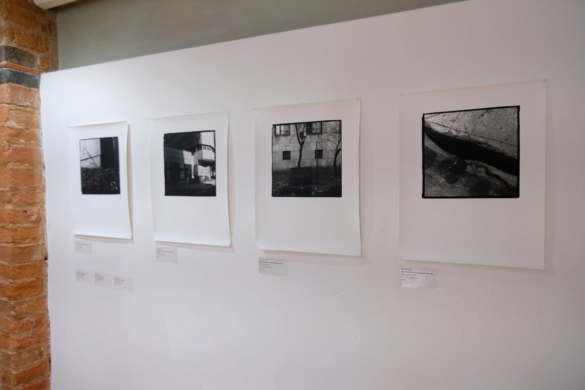 Tarpey Gallery tweet media