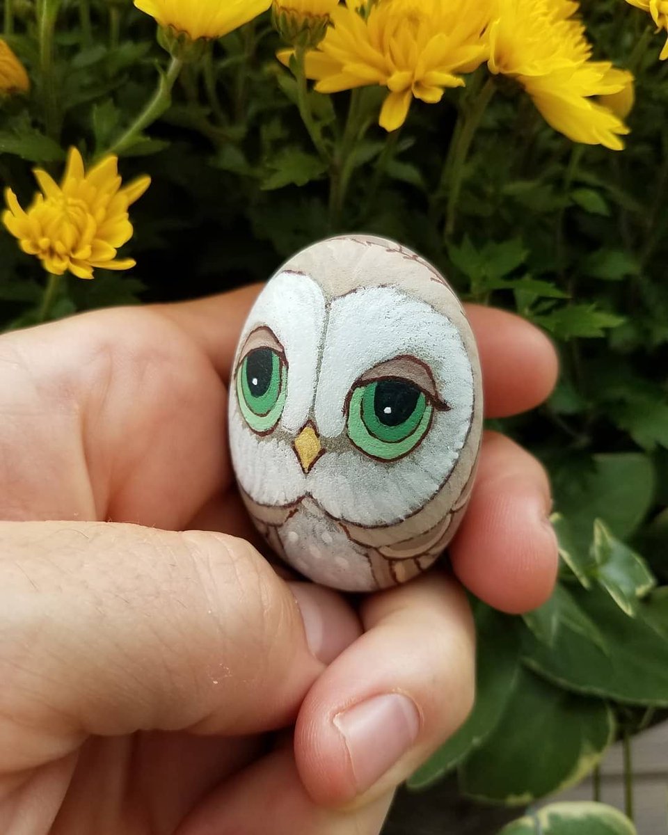 I'm a little shy but I think I have enough courage to ask you what my name should be? #petrocks #petowl #paintedrocks
.
#repost @theworldofjamesbrowne

buff.ly/2IT5FrL