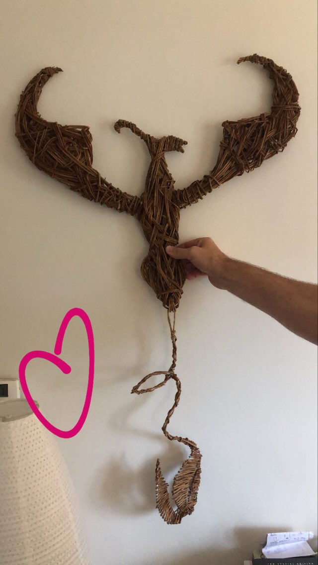 Rachel_SUTDA's tweet image. When you have a delivery 📦 and out of the box rises the Phoenix. Thank you #SUTDA ladies and #freedomprogramme ladies for this beautiful gift, you are so kind. @natalieisfree thank you for arranging the delivery, thank Harry for the additional Lego too 😂💙xx