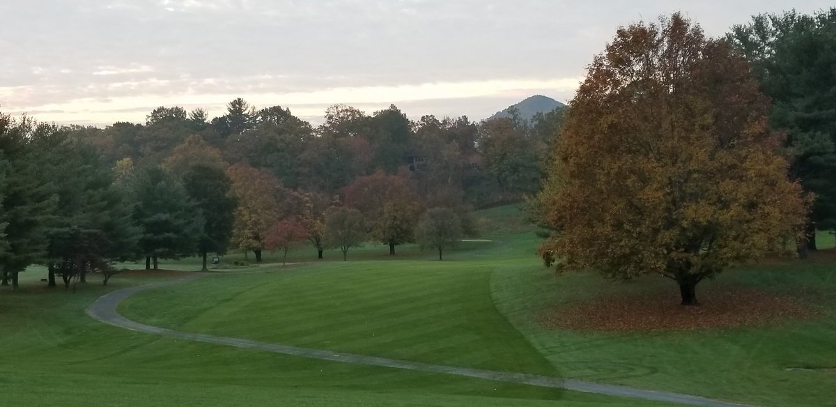 hvccturf's tweet photo. Hello Ryegrass.   Glad to have you back https://t.co/hyLsg0zG30