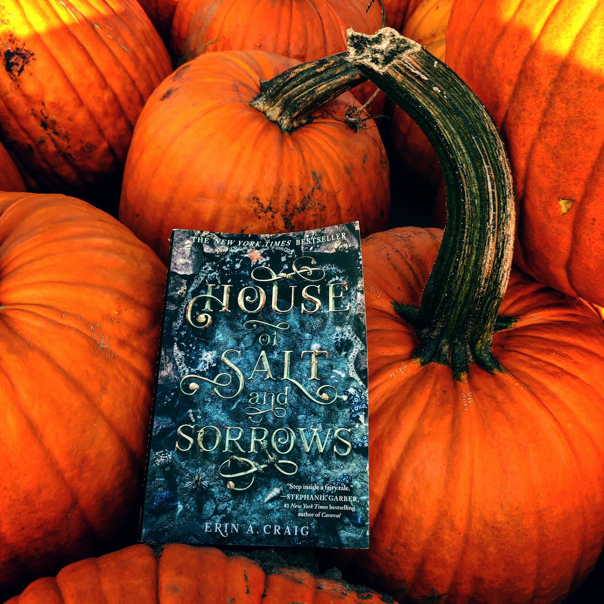 Penchant4Words's tweet photo. #TinyCraig’s favorite joke of the moment—
How do you fix a cracked pumpkin?
...
...
...
A PUMPKIN PATCH!!!!
What’s your best Halloween joke? https://t.co/AiLRPNfM3G