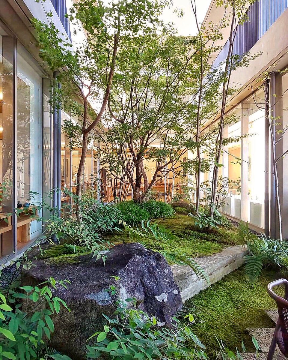 תג 中庭のある家 בטוויטר