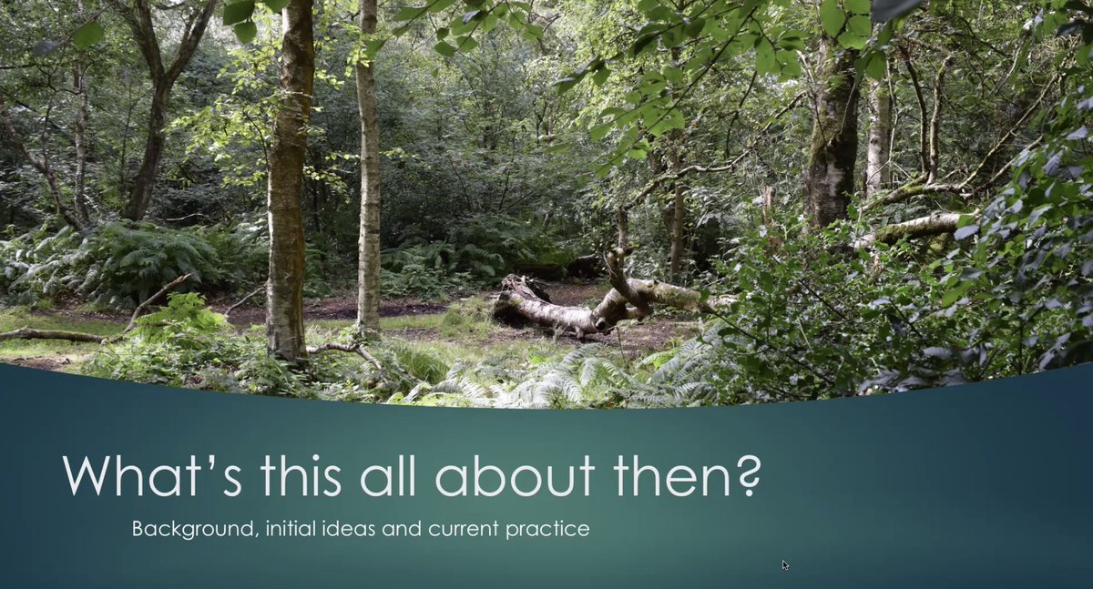 NATECLA_NW's tweet photo. #NATECLAnw20
@g_d_e is kicking off the day with an inspirational keynote about getting outside + into nature for classes.
Look out for the (brand new!) NATECLA NW newsletter which will have lots more info on the #FEforestschool project inc how to get involved via Slack + Zoom. https://t.co/NJMr1nve7v