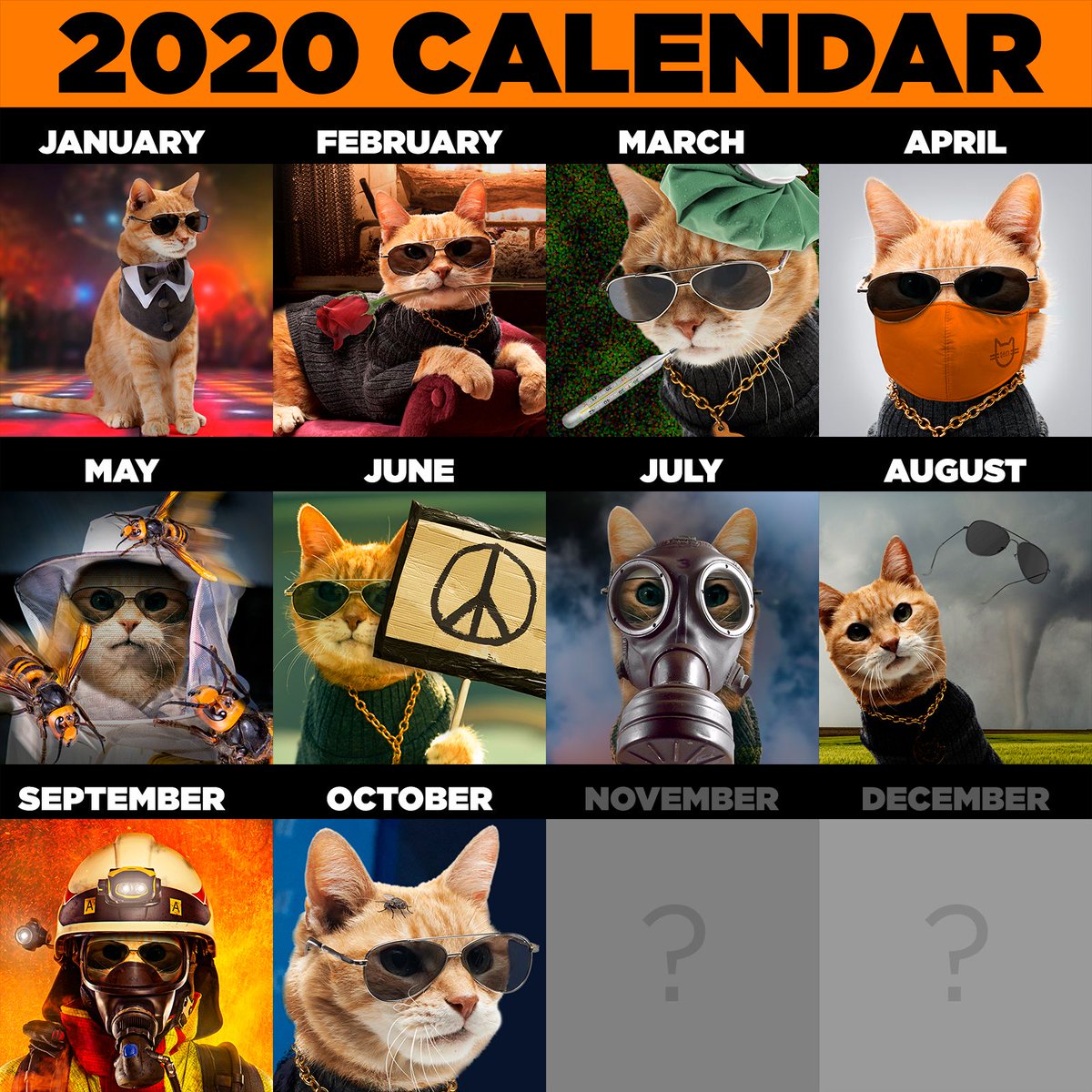 NeuteredScooter's tweet image. Friends, October really &quot;flew&quot; by, didn&apos;t it? Here&apos;s hoping the last two months of the year bring us good news and lots of cat love. Peace!

#2020challenge #scootertheneuteredcat #cincyusa