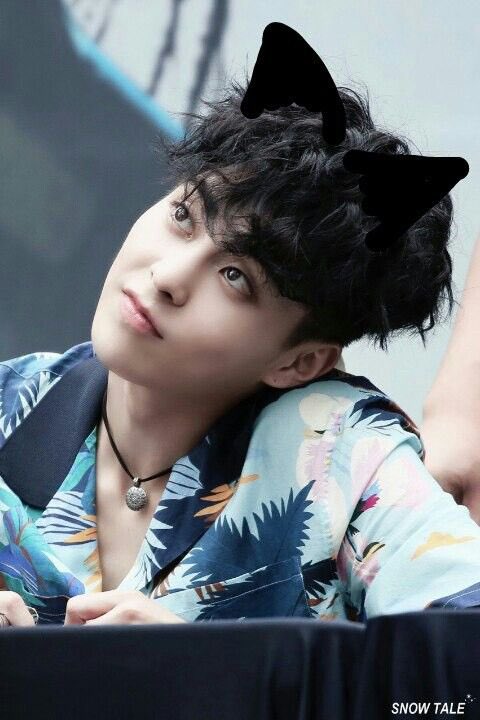 open this thread if you like cats @weareoneEXO