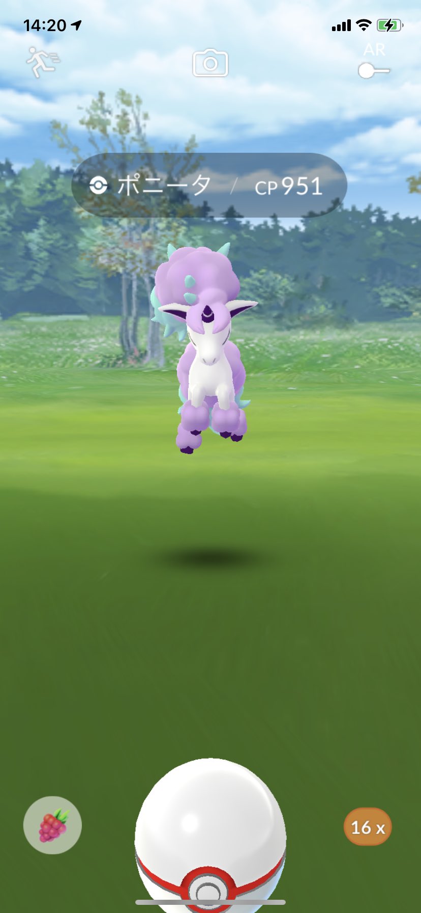 ポラリス Auf Twitter ポケモンgo ガラルポニータget そして ガラルギャロップに進化 美しい ポケモンgo ガラルポニータ ガラルギャロップ T Co Lxfcmqew6f Twitter