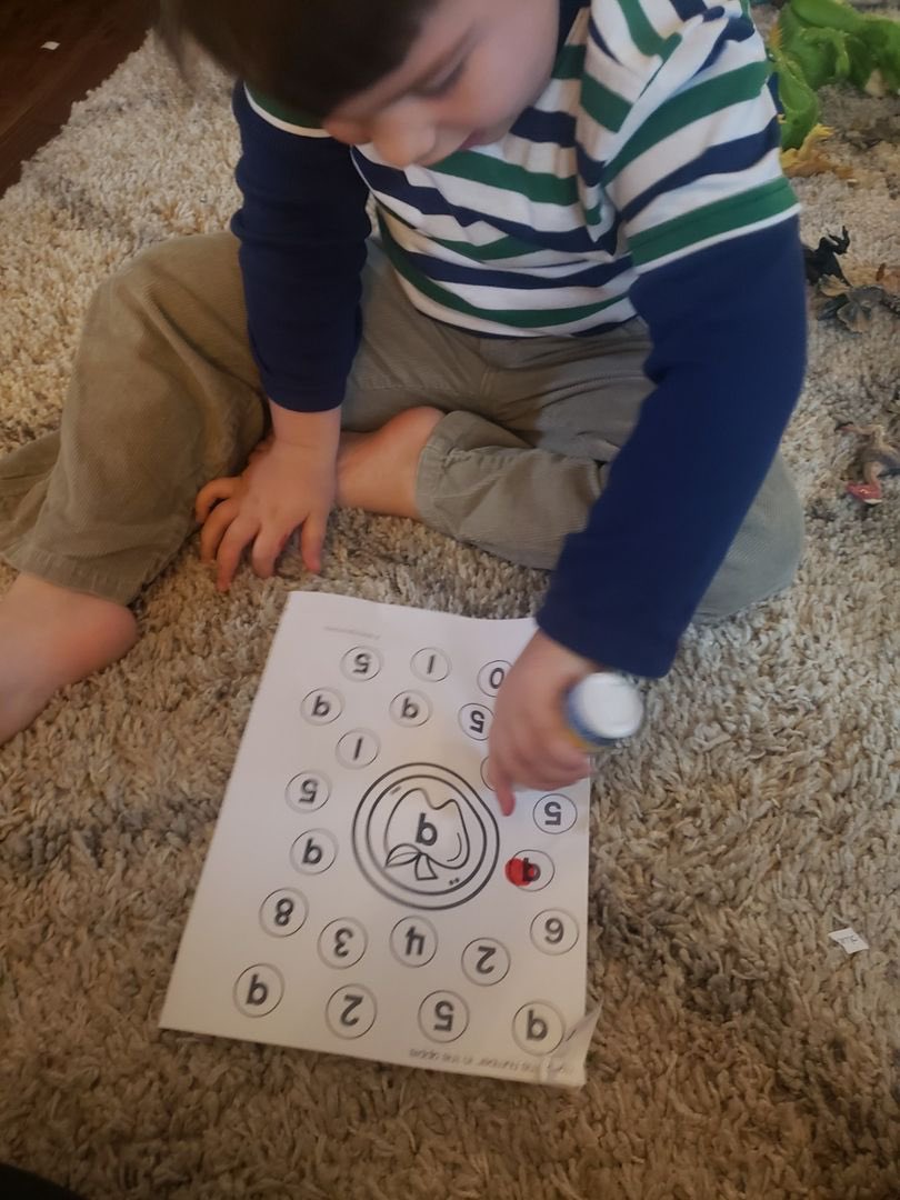 Nancy Putnam tweet media