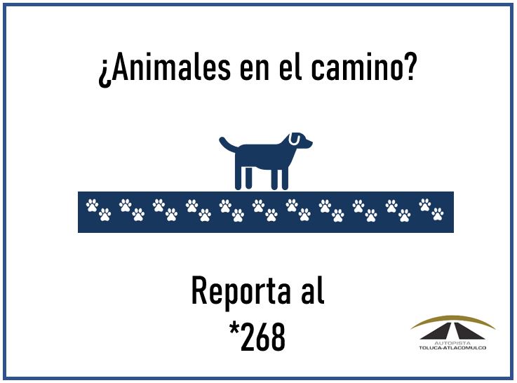 AutopistaToluca's tweet photo. Reporta el kilometraje y alguna referencia del lugar para su atención. https://t.co/GVVlfQB9Y6