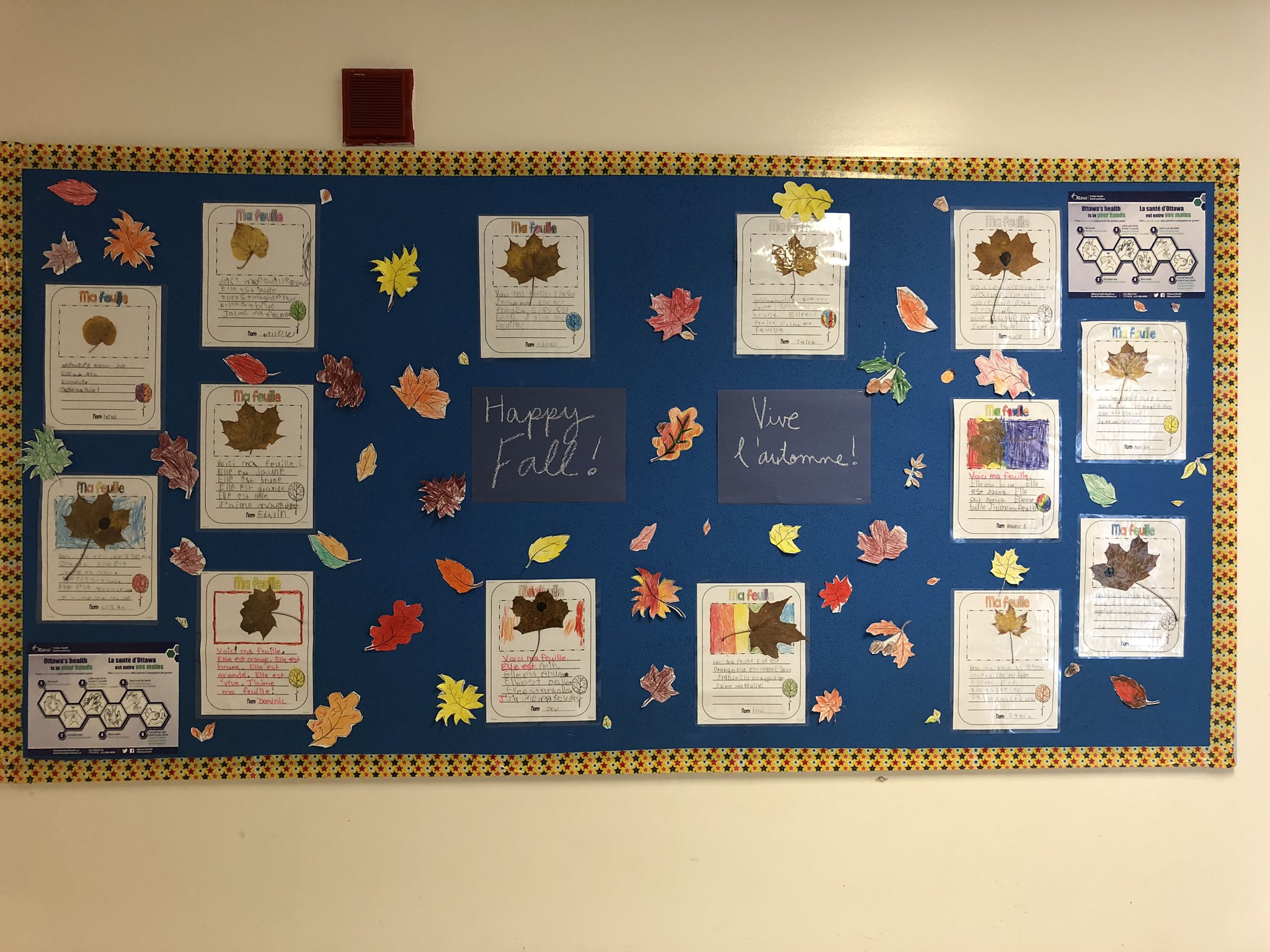 Kate Jex C Est L Automne We Have Been Busy In Grade 1 Students Found A Leaf Outside And Described It Following A Model Then They Decorated The Bulletin Board With Me