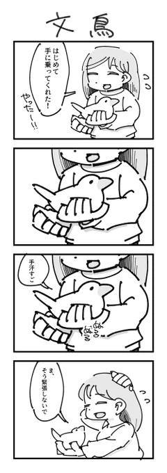 文鳥の4コマ 
