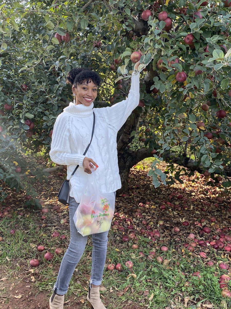 officialkdavis's tweet photo. Last weekend’s apple picking 🍂 https://t.co/RV6S2XHKrg
