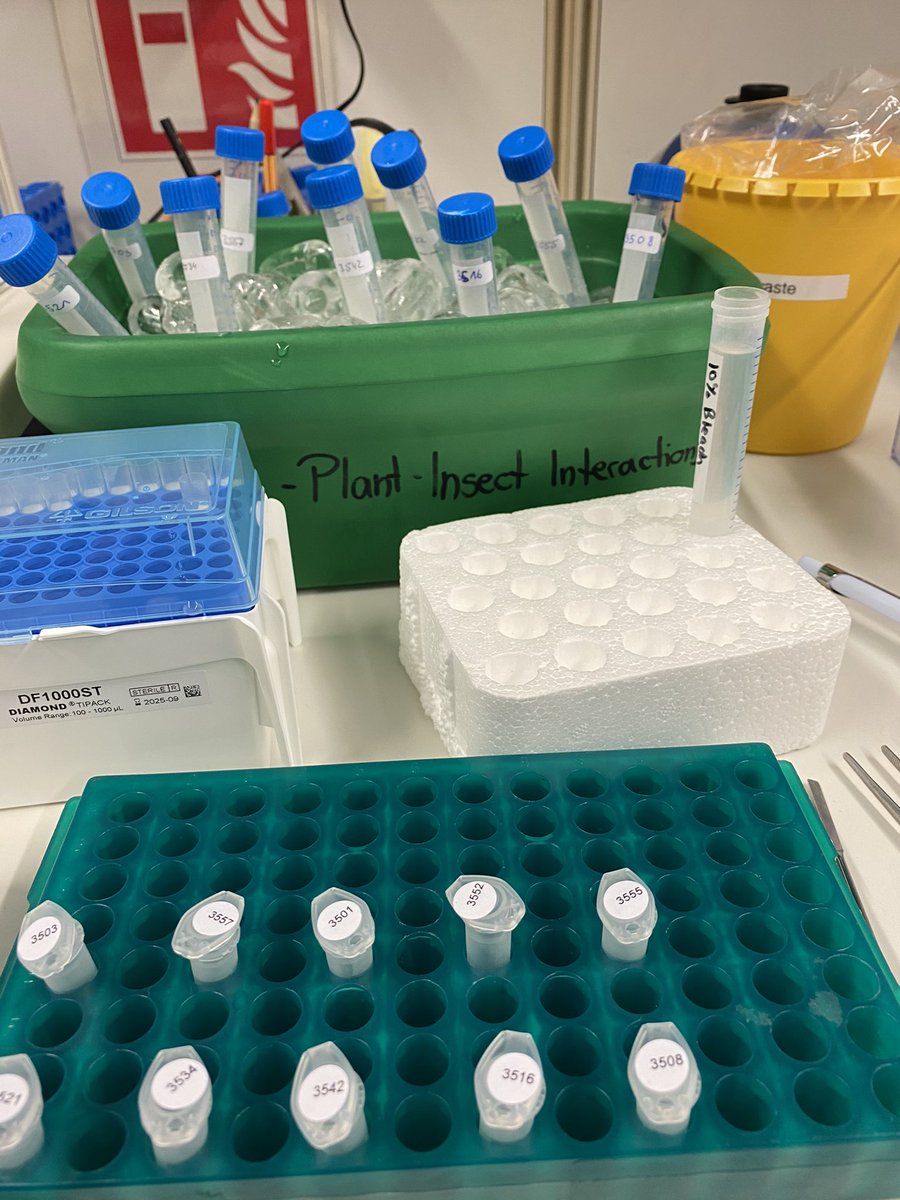 NutriB2's tweet photo. Busy trying to find out which plants our bees visited this year! In the picture our pollen samples before being sent for genetic analyses #metabarcoding #pollen #wildbees #insects #pollination #bexis #nutrib2 @BeePlantChem https://t.co/vOyImsxeKy