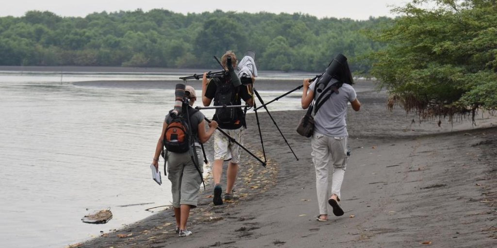 estacionelbanco's tweet photo. Estuaries are important resources for coastal and sea going birds, both as places to rest and to feed. This makes them the ideal spot for a wildlife photographer to explore. #estacionelbanco #fundaselva #explorewithindigo #skuanature
Estacion el Banco | Sea turtle conservatio... https://t.co/9PFC5nuHjg