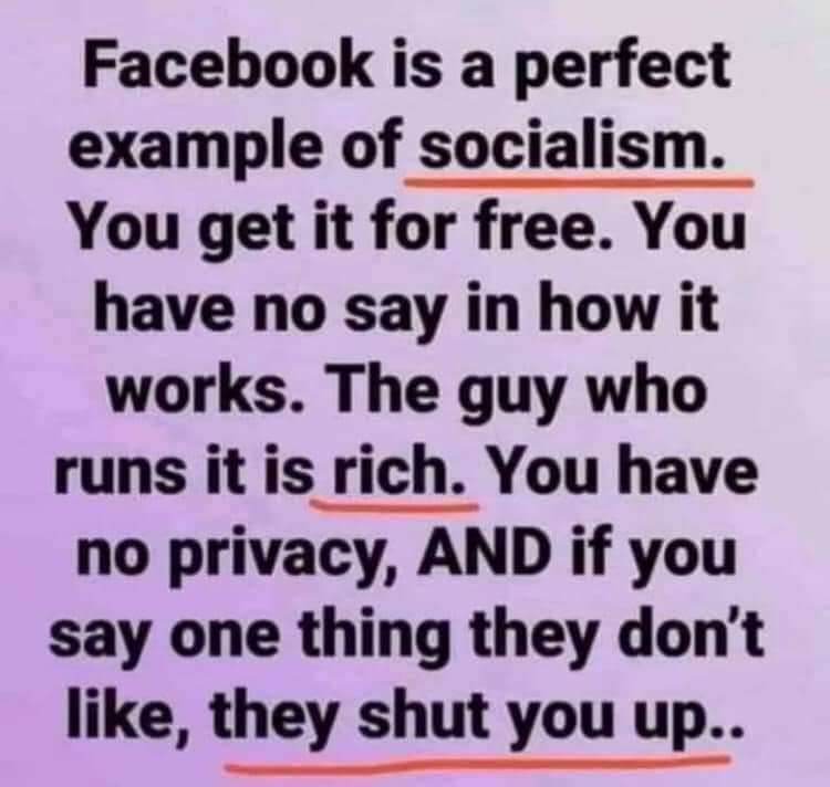 newsbitch's tweet image. #BigTechElectionInterference