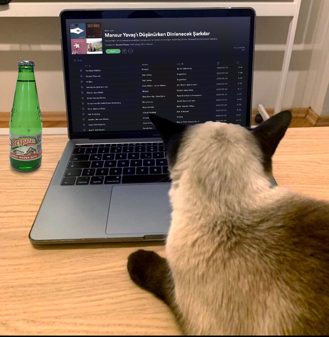 Seni öylesine çok seviyorum ki, yanındayken bile seni özlüyorum. 
Sonra dersin ki, neden bu kadar çok maden suyu içiyorsun. İçerim işte aşk adam, içerim...