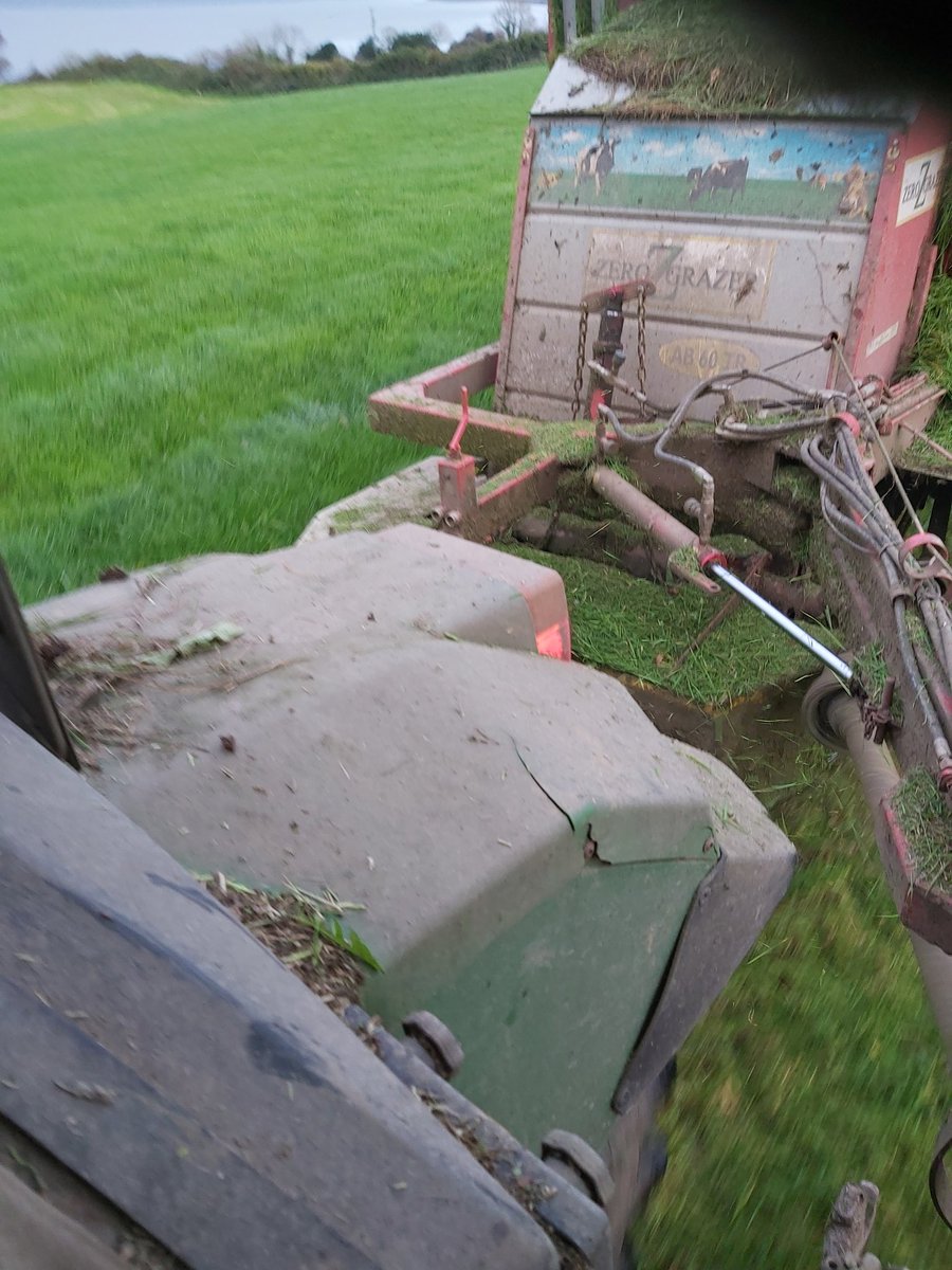 Musgrav60905348's tweet photo. Should be good for milk https://t.co/BIPIv95F9d