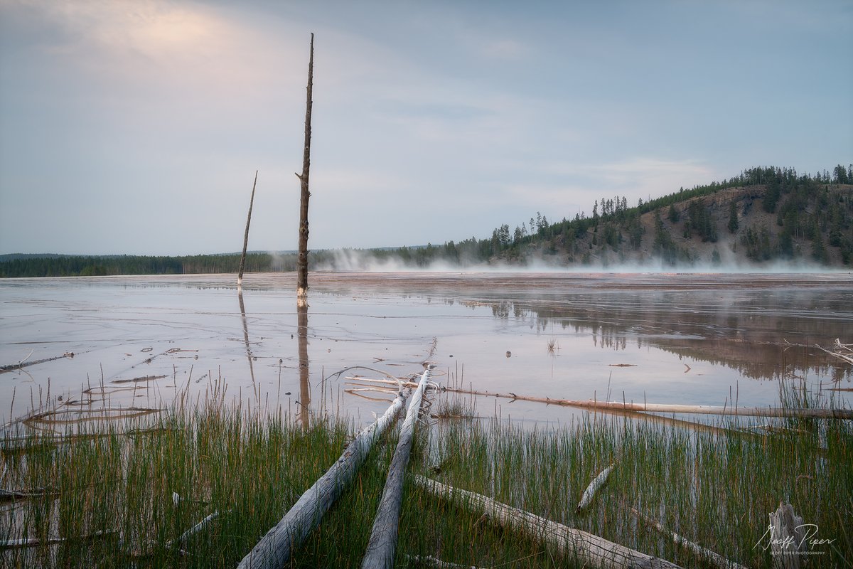 GPPhotos's tweet photo. Softly Singed || Yellowstone National Park - Two lodgepole pines succumb slowly to the power of Grand Prismatic Spring’s superheated runoff over long periods of time. Felled logs mark the advancing perimeter of the spring.

https://t.co/tftgmLvlNp https://t.co/JldtQr7swb