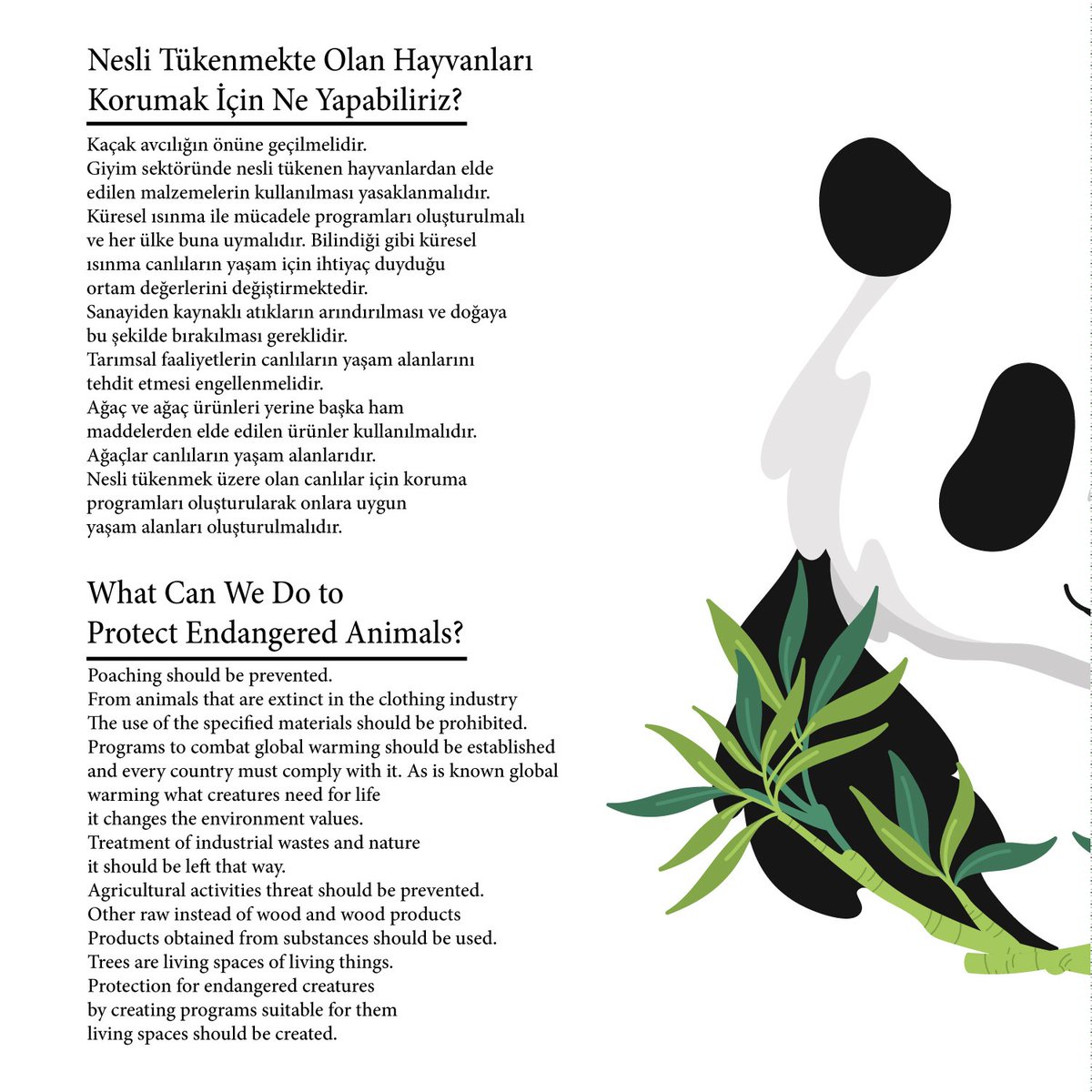 •Eco First Green Week Challenge Day 1🌿🤍
Son yapılan araştırmalar insanların, medeniyetin başlangıcından bu yana hayvanların %83'ünü, bitkilerin %50'sini yok ettiğini ortaya koyuyor. Bütün yıkımı durdursak bile dünyanın tam olarak iyileşmesi 5-7 milyon yıl süreceğe benziyor...