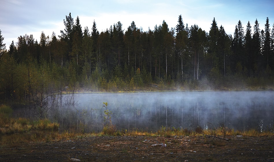 eminingjournal's tweet photo. Building Resilience, the Boliden Way: E&amp;MJ looks at how innovation in energy supply and biodiversity are helping the Swedish powerhouse to futureproof its mining operations  https://t.co/D6QQo7P7gD https://t.co/Ml6mkUIkT8