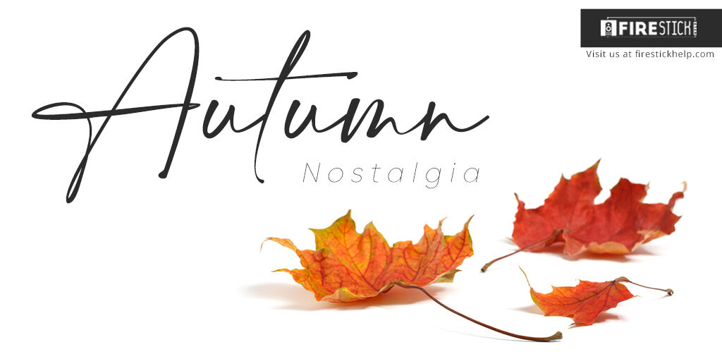 help_firestick's tweet photo. Apple picking or Leaf Peeping
Running a race or getting lost in a corn maze
When Summer ends and Autumn comes
Childhood memories reckoned nostalgia of a lost diaries
Switch and make a connection. Bridge in, with a VPN!

Follow us at https://t.co/vyiDrfkvGq 

#autumn #VPN https://t.co/5LKq6SYQzM