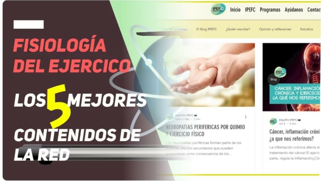 IPEFC's tweet photo. BLOG IPEFC.!Estamos de celebración! @CarloslmSM, nos gustaría agradecerte publicamente que nos situes en un sitio tan privilegiado y por apoyarnos con cada publicación, esto nos motiva a seguir trabajando cada día para ayudar a las personas. 
Esto es #adnIPEFC #ejercicioycancer https://t.co/8Bfs1imMB7