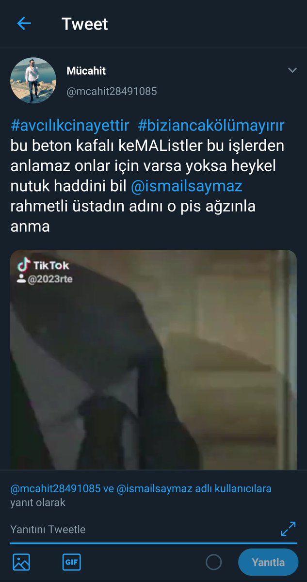 alifalaniste's tweet photo. @mcahit28491085 @ismailsaymaz Ekran görüntüsü aldım hukuki yollardan dava açıyorum o zaman ne diceksin bakalım https://t.co/DOEzKM40I0