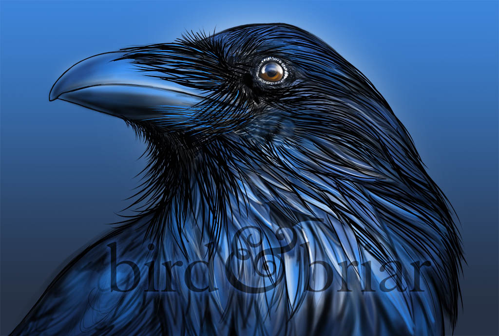 Something seasonally spooky for this week's #colour_collective 

(I ran out of time, and quoth the Raven: NEVERMORE) >.<