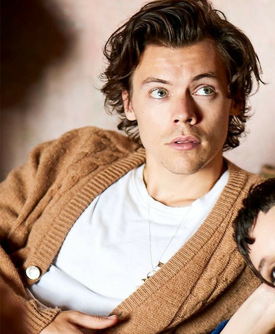 harryzstan's tweet image. harry styles exists and that's all