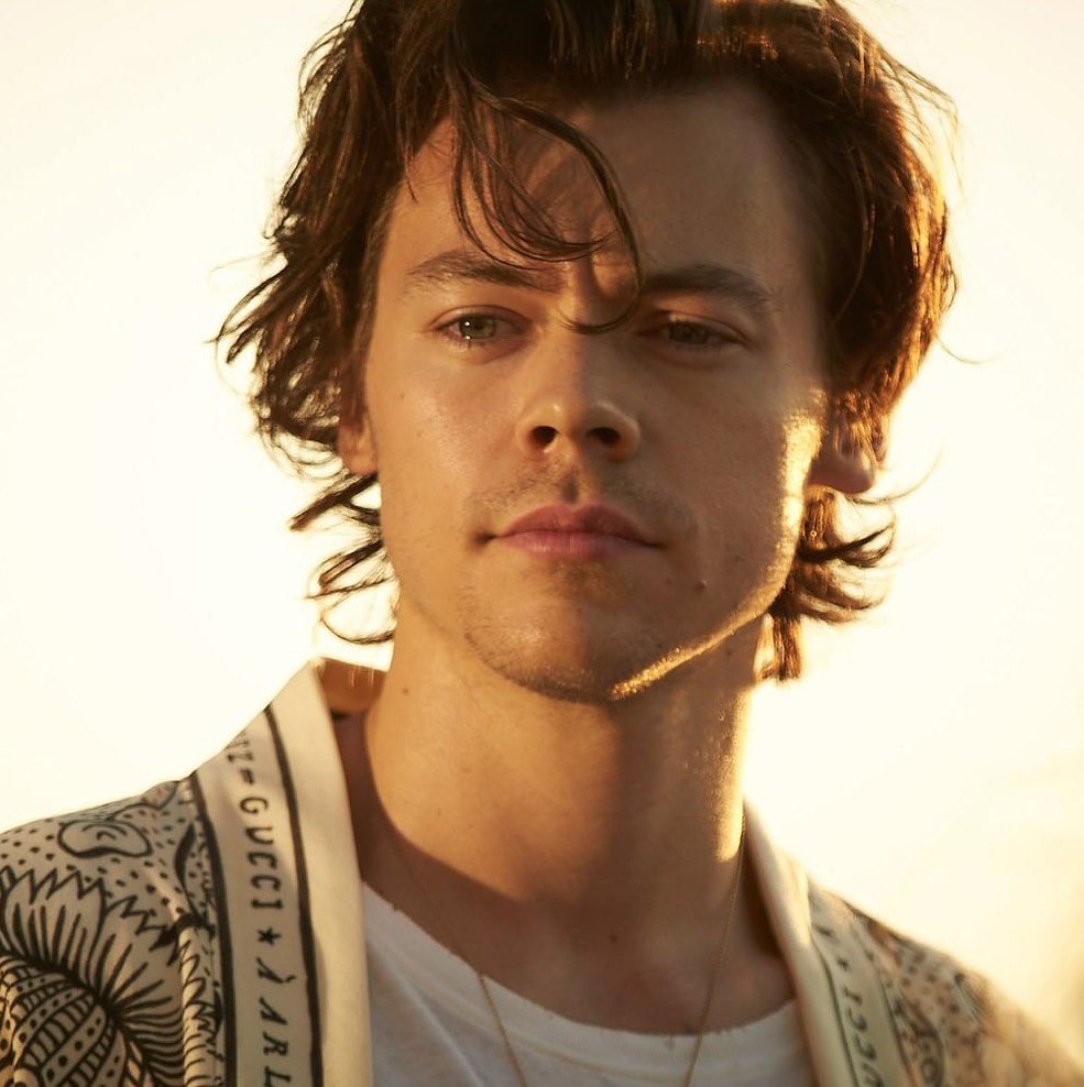 harryzstan's tweet image. harry styles exists and that's all