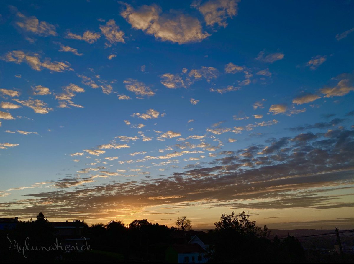 MyLunaticSide's tweet photo. "Clouds come floating into my life, no longer to carry rain or usher storm, but to add color to my sunset sky.” #atardecer #Gijon #Asturias #lookdown #0h @StormchaserUKEU @MeteoAsturias @AEMET_Asturias @AEMET_Esp https://t.co/dODy7uBCaV