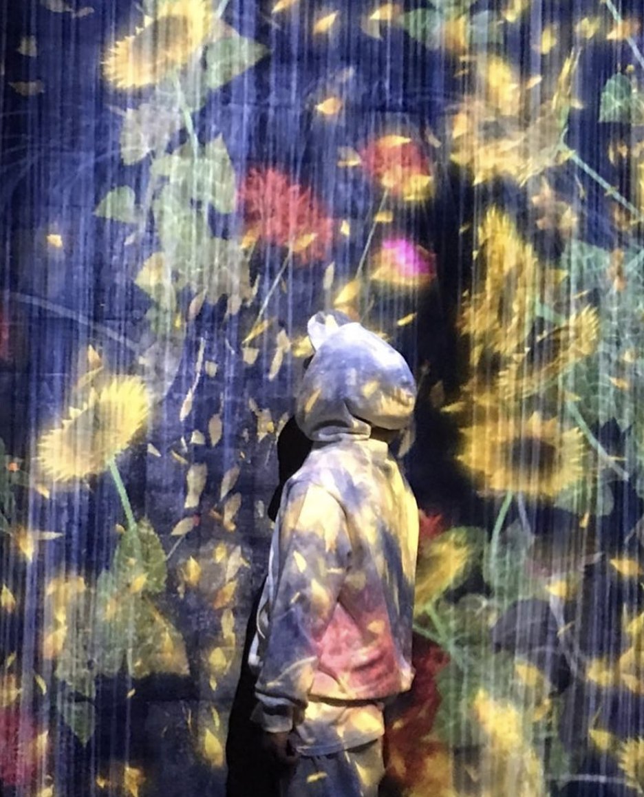 sunnus518's tweet photo. 🌻🌸🌼🌿✨ https://t.co/3jEkqGTsRw