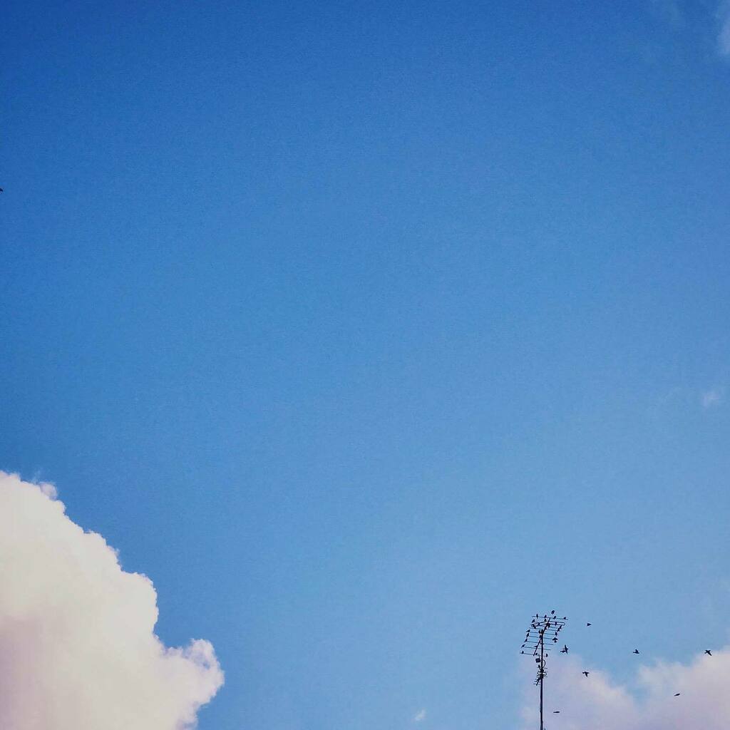 edgarliborio's tweet photo. birds are indie.

#caldasdarainha #oeste #portugal #clouds https://t.co/zJTcFjckVP https://t.co/mTRdcnTwVa
