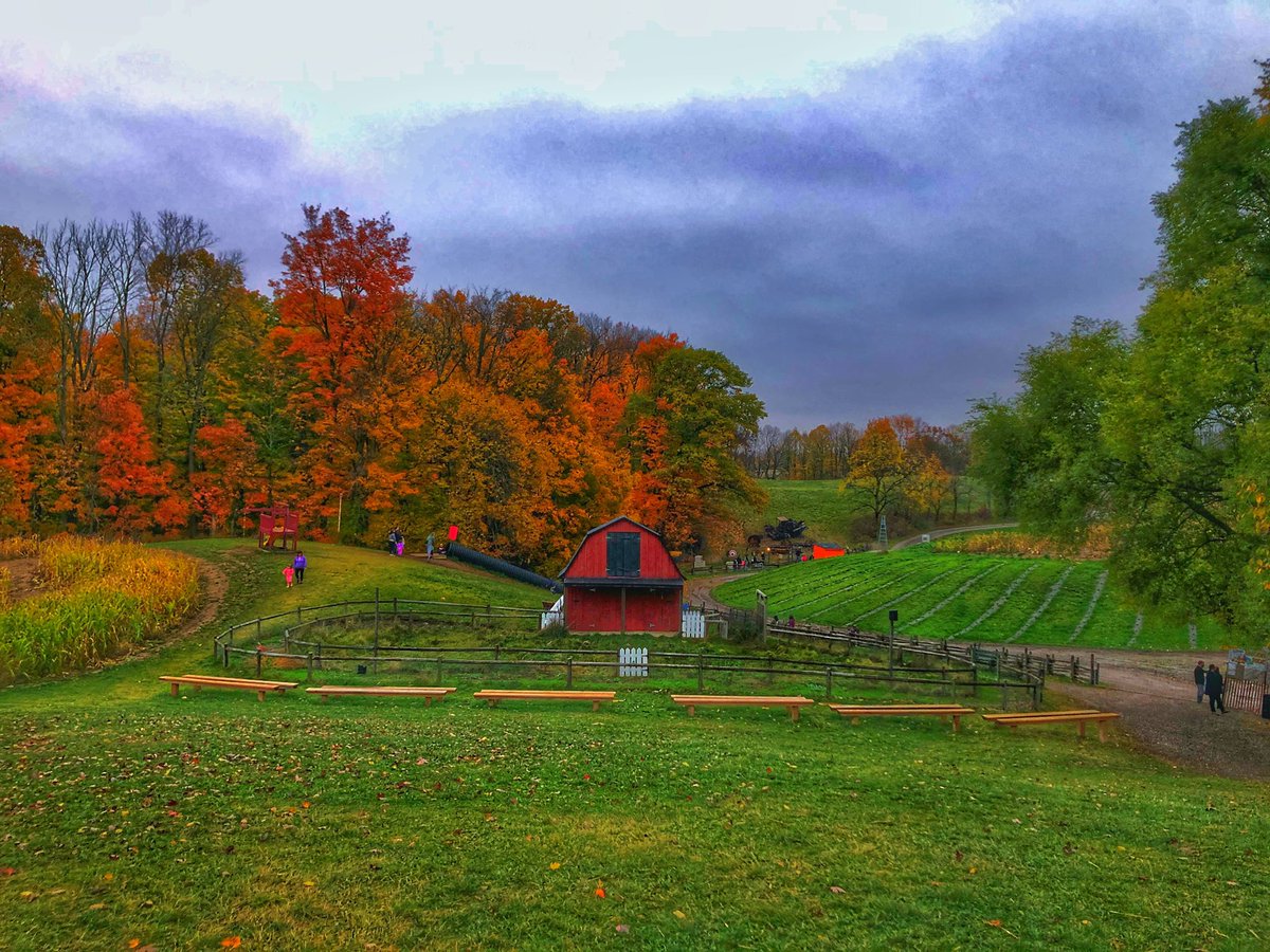jodelagain's tweet photo. #FallSoHard https://t.co/WFPtXzqxzr