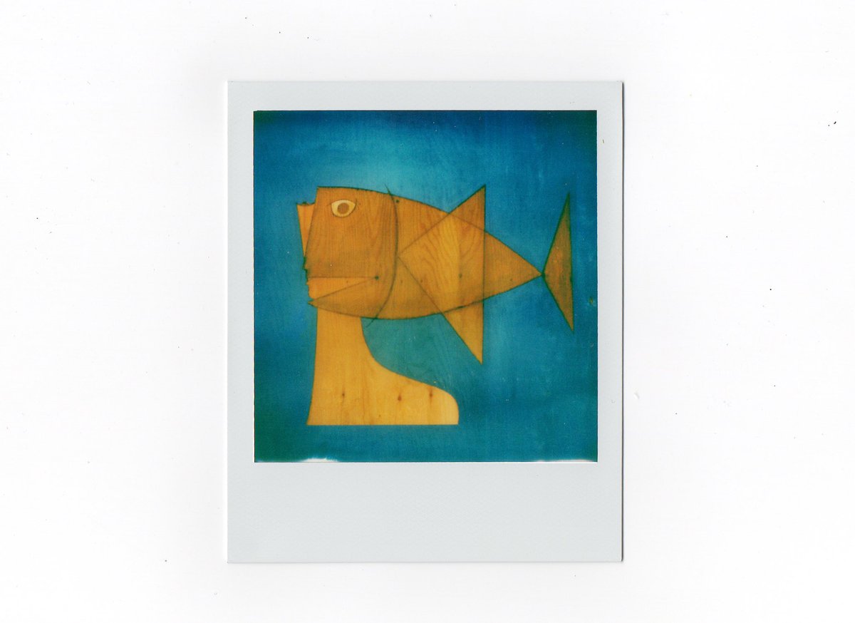 gomboli's tweet photo. Day 6 - final @polaroidweek entry for this 2020.
“Omaggio a mio padre”
#PolaroidWeek #RoidWeek #instantlab #mariogomboli. https://t.co/VLEf3aVioF
