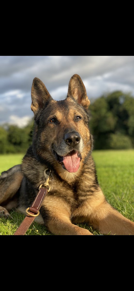 Ladies and Gentlemen, the ayes have it, the ayes have it. 
#FinnsLawPart2 moves on to the next level, the committee stage. Time is short and there is much work to be done but today is a big step forwards, albeit a long awaited big step forward. 
Thank you, everyone of you.