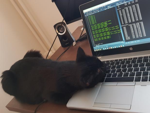 KunnariA's tweet photo. Today the cat gave some input on latent state-trait models. He even wrote a line of code. I think it was ssssssssssssssssssssssssssssssssss #rcats https://t.co/IlK0PWrGDD