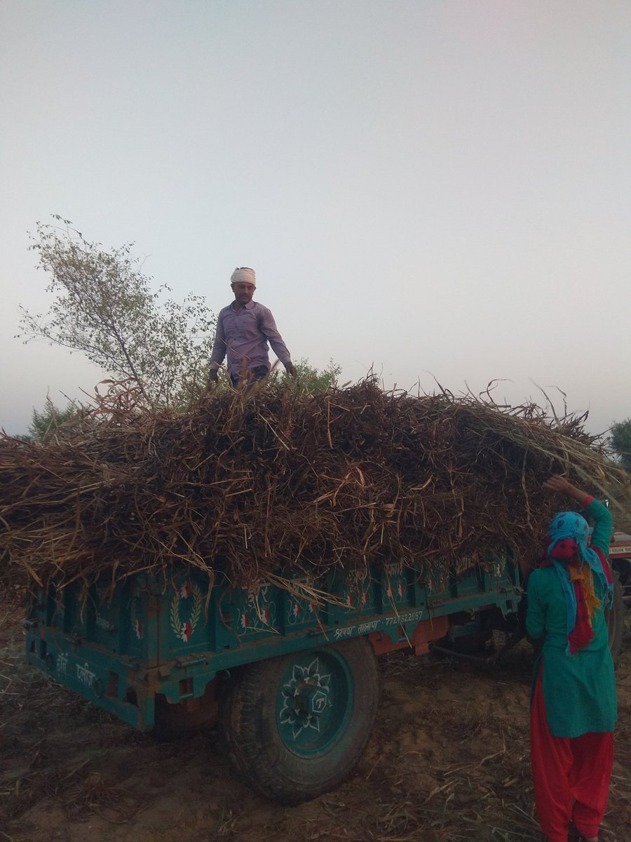 GurjarSohan13's tweet photo. करु बहियां बल आपनी, छोड़ बिरानी आस। जाके आंगन नदिया बहै, सो कस मरै पियास।। https://t.co/7gyTJtXSxZ