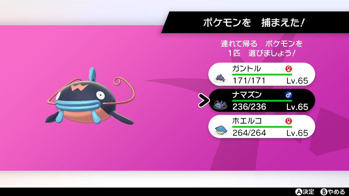 けつあご 色違いナマズン ポケモン剣盾 Nintendoswitch けつあご 色違いナマズン ポケモン剣盾 Nintendoswitch