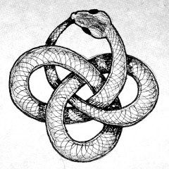 Rude_Astrology's tweet photo. Happy Scorpio season 🦂
Every tongue that has ever risen or will ever rise against me in hate shall be cut off
Every heart that has ever born hate for me shall disintegrate in its own poison 
Every enemy in openness or secret shall be cut by their own sword https://t.co/7G9Ve5WMnz