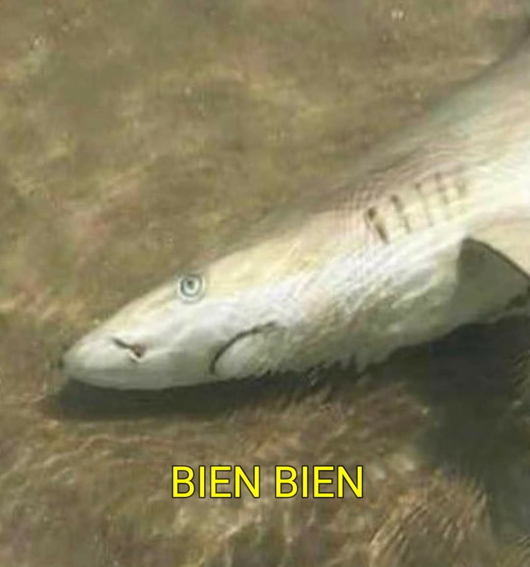julitoide's tweet photo. -como estas? https://t.co/w1OgQ0ZdA0
