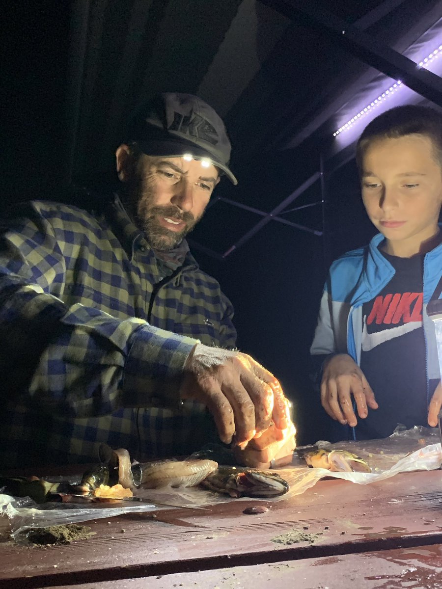 mike_Iaconelli's tweet image. Cleaning your catch at night has never been easier when you use the Ike Approved Power Cap! @PantherVis #ikeapproved #powercap #trout