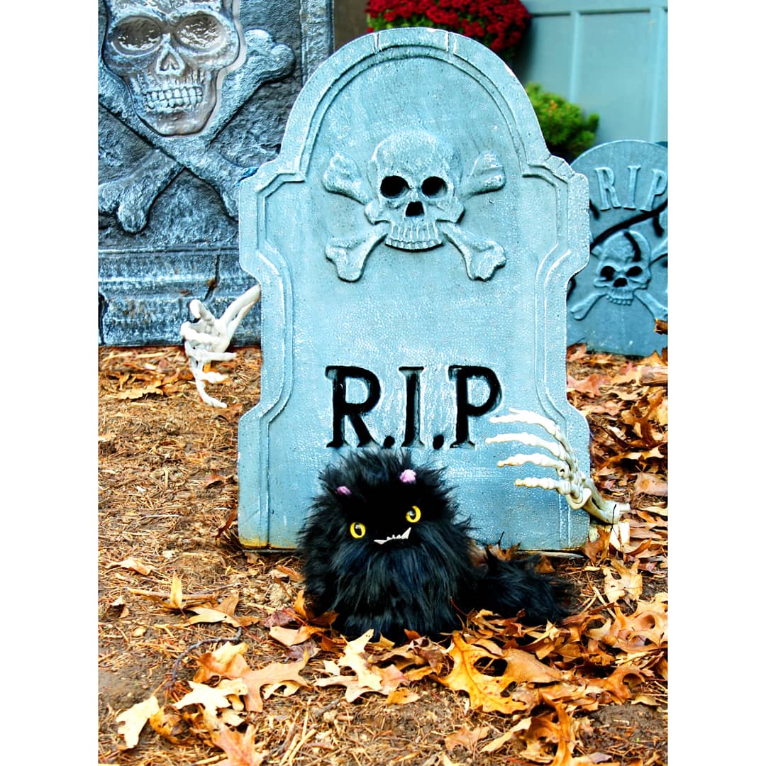 SpiderbiteShop's tweet image. Everyone is just DYING to get their hands on the Cat!

etsy.com/shop/spiderbit…

#cats #etsy #handmade #blackcat #halloween #skeleton #plush #kitty #stuffedanimal #plushielife