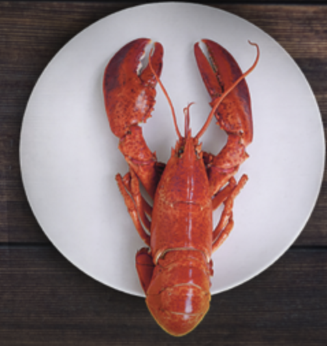 The 2020 stock assessment of lobster found a record high abundance in the Gulf of Maine and on Georges Bank and record low abundance in the southern New England, which is significantly depleted with poor prospects of recovery. asmfc.org/uploads/file/5…